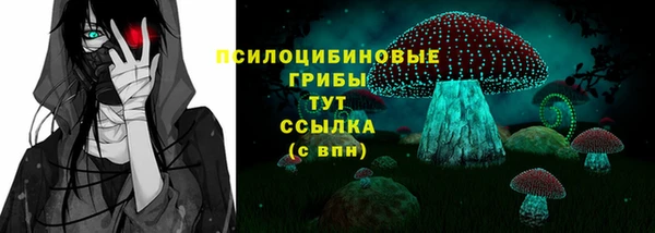 гашик Покачи